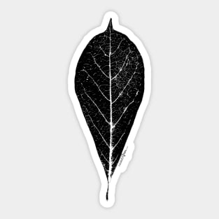 Magnolia Leaf Print Sticker